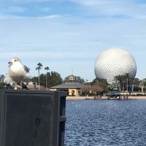 Meet your Posher, Chad